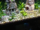IMG_20200812_180823.jpg