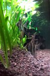 20200819_220522.jpg