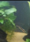 IMG_20200902_204514.jpg