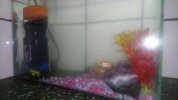 20986_98e1a8a29fde44f3b44d2f044ab90731.jpeg