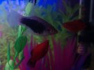 IMG_20200912_165451.jpg