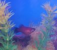 IMG_20200912_170415.jpg