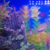 IMG_20200912_170353.jpg