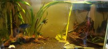 20200920_180629.jpg