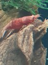 20200924_175325.jpg
