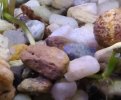 IMG_20201001_121628.jpg