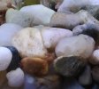 IMG_20201001_121718.jpg