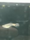 IMG_20201006_184911.jpg