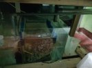 received_341600666924169.jpeg