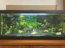 thumbnail_IMG_3740.jpg
