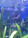 20201017_214709.jpg