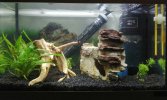 IMG_20201024_210410-compressed.jpg