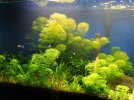 IMG_20201026_153943.jpg
