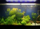 IMG_20201024_111742.jpg