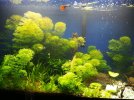 IMG_20201026_153936.jpg