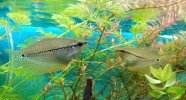IMG_20201101_134303~2.jpg