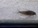 20201102_154452.jpg