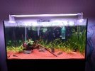 IMG-20201105-WA0008.jpg