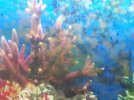 20201110_124742.jpg