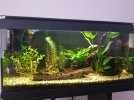 20201118_134226-min.jpg