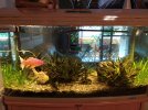 IMG_20201109_123753 (Copiar).jpg