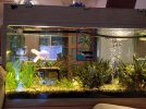 IMG_20201109_123819 (Copiar).jpg