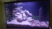 20201130_205120.jpg