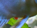 IMG_20201129_201204~2.jpg
