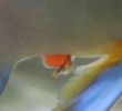 IMG_20201129_214548~2.jpg