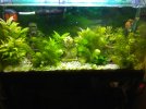 IMG_20201203_190552.jpg
