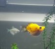 IMG_20201221_142148.jpg