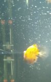 IMG_20201221_142206.jpg