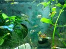 IMG-20170513-WA0008.jpg