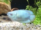 thumbnail_IMG_8466.jpg