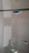 Videoframe_20210218_145838_com.huawei.himovie.overseas.jpg