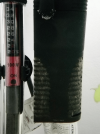 image%3A32673 (1).png