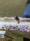 A23CBC09-4139-4706-91E4-ADBB607DDD64.jpeg