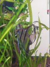 IMG_20210315_114348.jpg