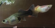 IMG_20210327_195239~2.jpg