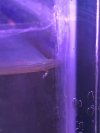 B0074EE7-B65E-42A7-B2BD-A1CA35CCB0D1.jpeg