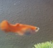 20210907_142715.jpg
