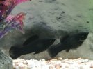 IMG_20210916_220010.jpg