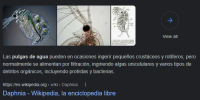 Untitled.png