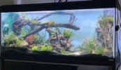 E62018DF-26D7-47BF-9163-6595F688ECE7.jpeg E62018DF-26D7-47BF-9163-6595F688ECE7.jpeg