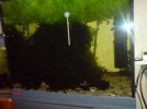 DSC00143.JPG