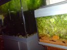 DSC00155.JPG