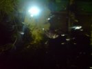 DSC00130.JPG