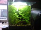 DSC00157.JPG