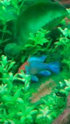 20220131-ramirezzi.jpg