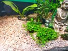 IMG_20220219_162416.jpg